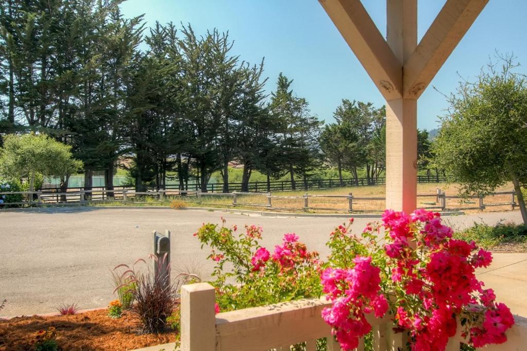 Serene Bungalow-Style Home In Point Reyes Station! Ngoại thất bức ảnh