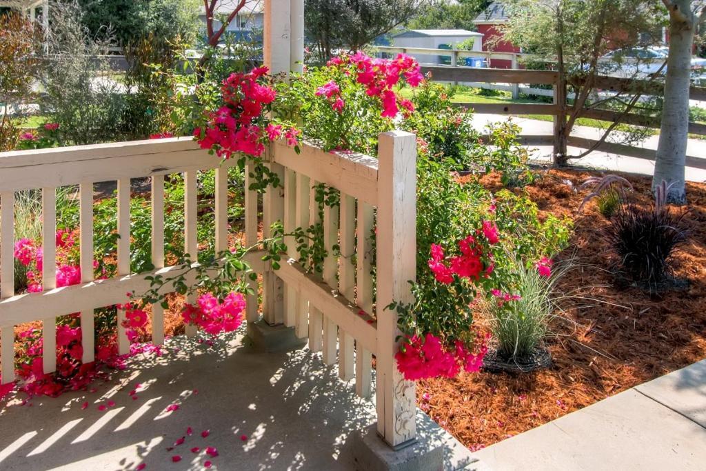 Serene Bungalow-Style Home In Point Reyes Station! Ngoại thất bức ảnh