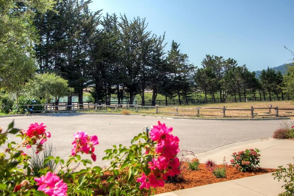 Serene Bungalow-Style Home In Point Reyes Station! Ngoại thất bức ảnh